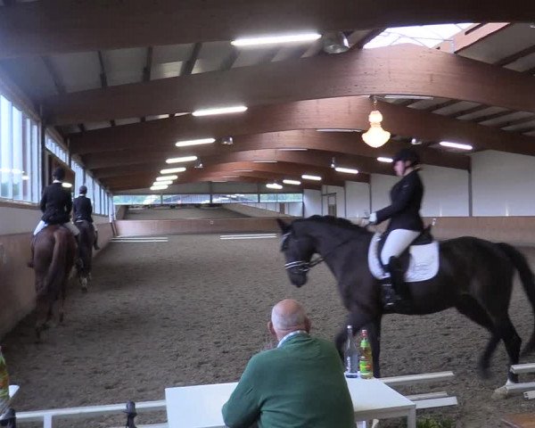 Reitturnier Gut Hohenkamp / Dorsten 2017