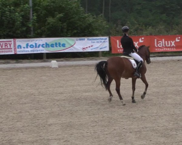 Reitturnier Hünsdorf-Ecurie Josy Hoffmann 2017