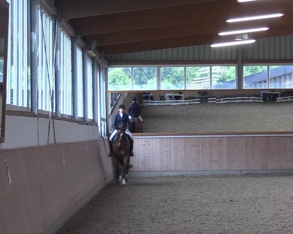 Reitturnier Gut Hohenkamp / Dorsten 2017