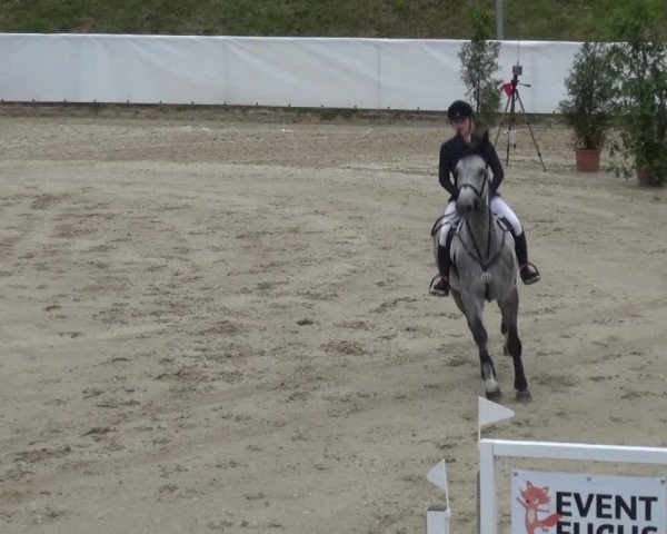 Reitturnier Leichlingen-Witzhelden 2017