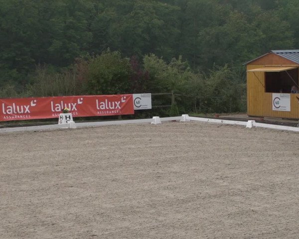 Reitturnier Hünsdorf-Ecurie Josy Hoffmann 2017