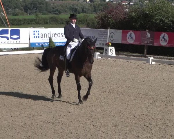 Reitturnier Hünsdorf-Ecurie Josy Hoffmann 2017