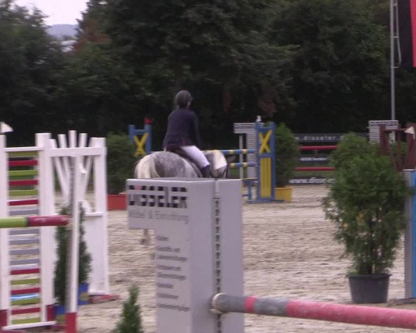 Reitturnier Appelhülsen 2017