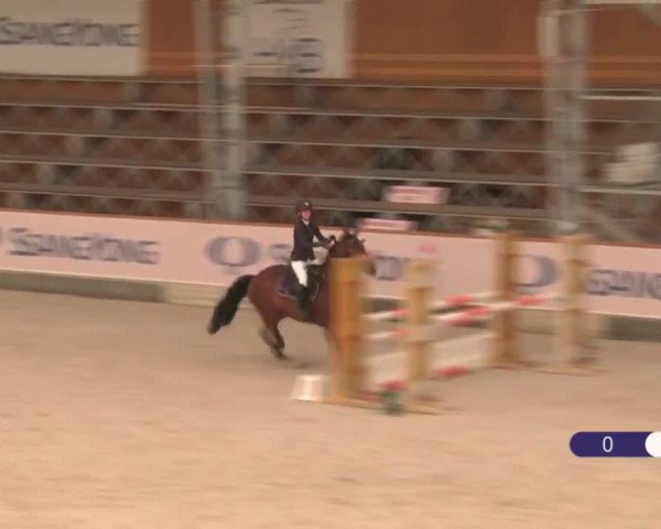 Video von Mirtosardo