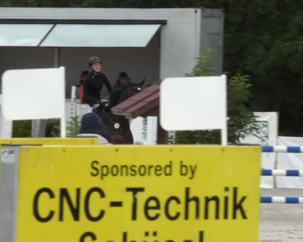 Reitturnier Öpfingen 2017