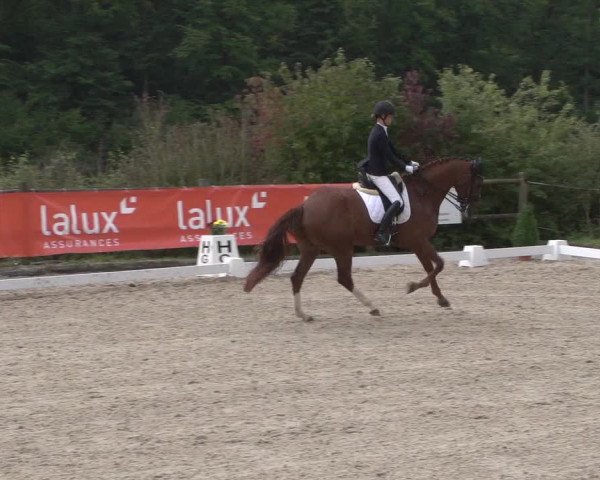 Reitturnier Hünsdorf-Ecurie Josy Hoffmann 2017
