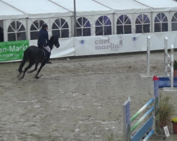 Reitturnier Leichlingen-Witzhelden 2017
