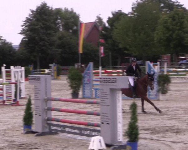 Reitturnier Appelhülsen 2017