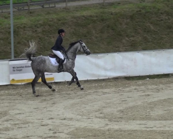 Reitturnier Leichlingen-Witzhelden 2017