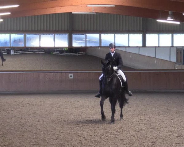 Reitturnier Gut Hohenkamp / Dorsten 2017