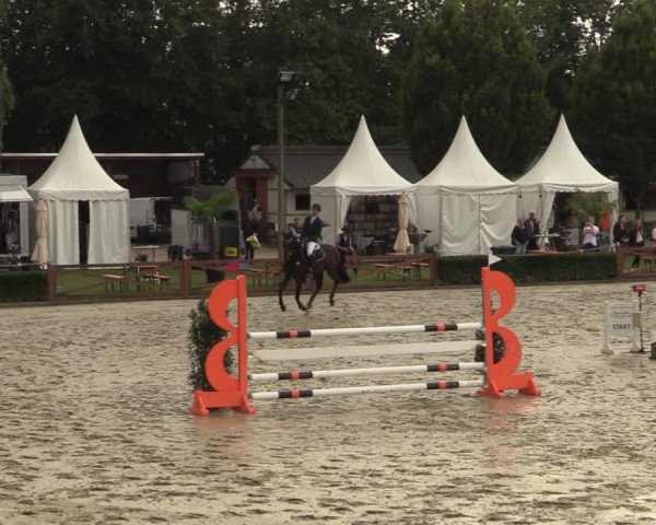 Equus Colonius - Reitanlage Brüse Köln 2021