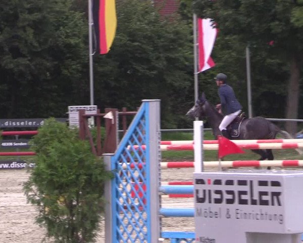 Reitturnier Appelhülsen 2017