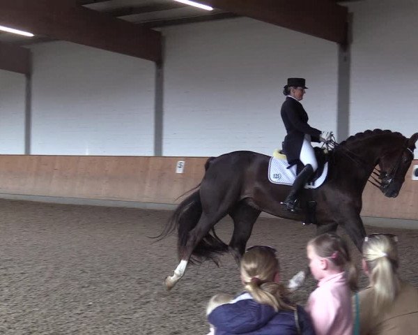 Reitturnier Gut Hohenkamp / Dorsten 2017