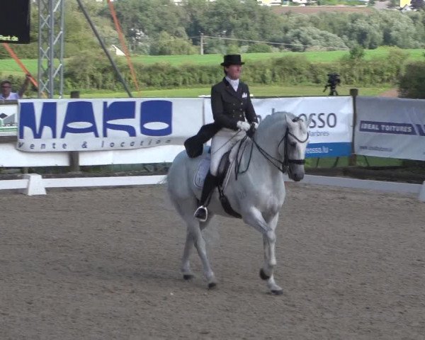 Reitturnier Hünsdorf-Ecurie Josy Hoffmann 2017
