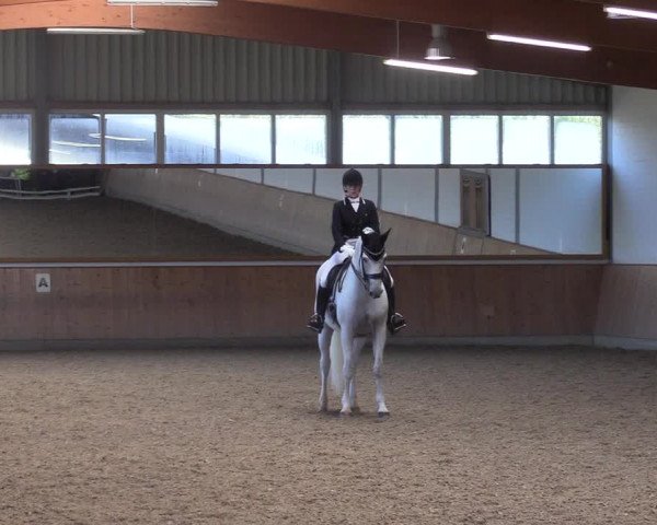 Reitturnier Gut Hohenkamp / Dorsten 2017