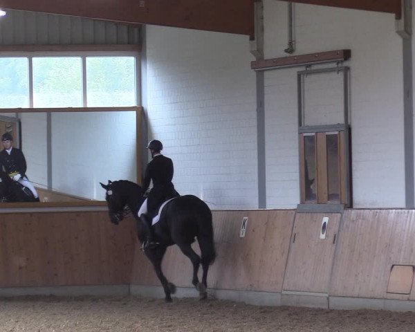 Reitturnier Gut Hohenkamp / Dorsten 2017