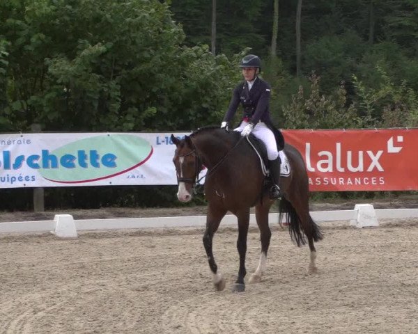 Reitturnier Hünsdorf-Ecurie Josy Hoffmann 2017