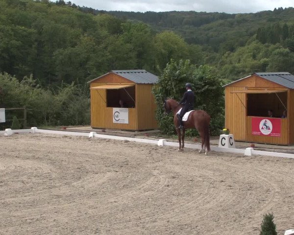 Reitturnier Hünsdorf-Ecurie Josy Hoffmann 2017