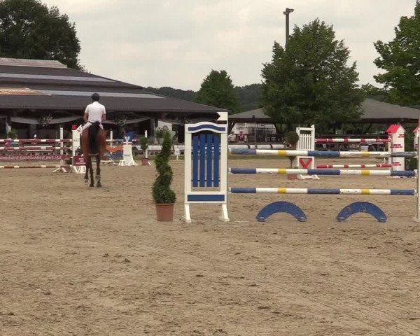 Reitturnier Münster-Roxel 2017