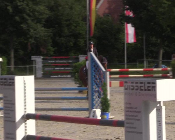 Reitturnier Appelhülsen 2017