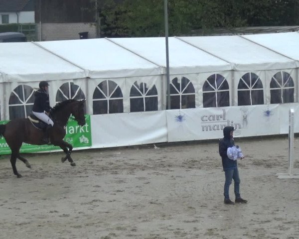 Reitturnier Leichlingen-Witzhelden 2017