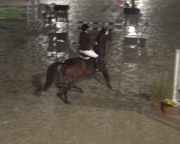 Reitturnier Leichlingen-Witzhelden 2017