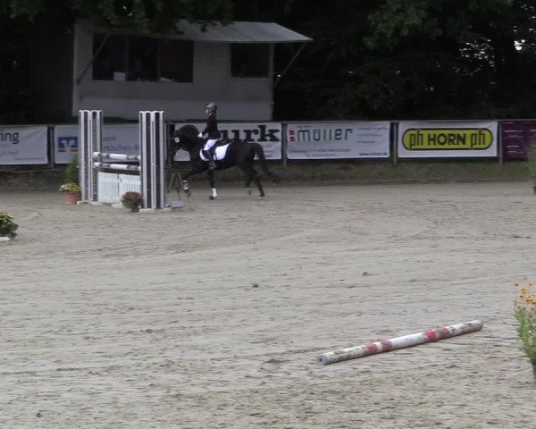 Reitturnier Meinerzhagen 2017