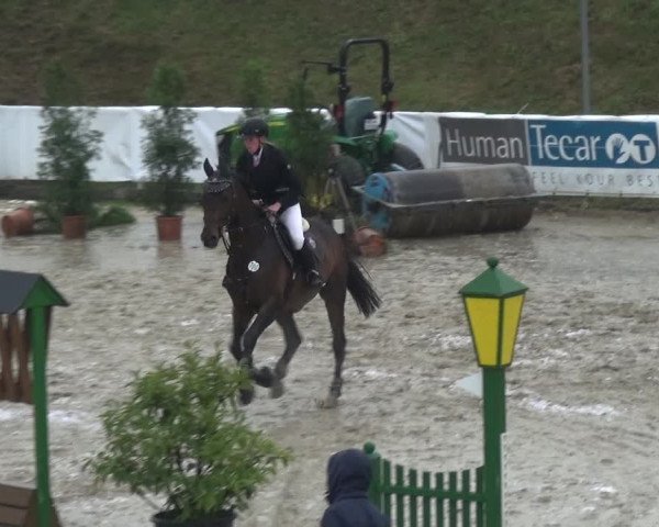 Reitturnier Leichlingen-Witzhelden 2017