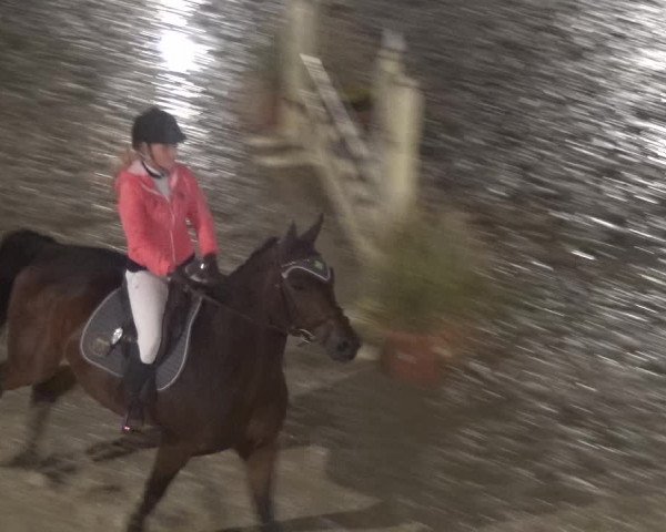 Reitturnier Leichlingen-Witzhelden 2017