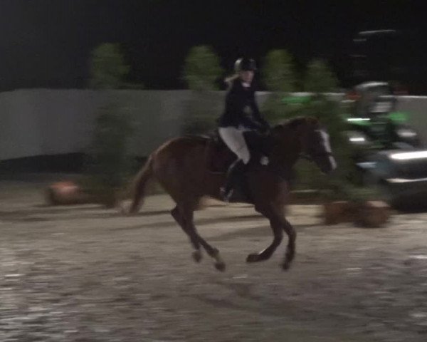 Reitturnier Leichlingen-Witzhelden 2017