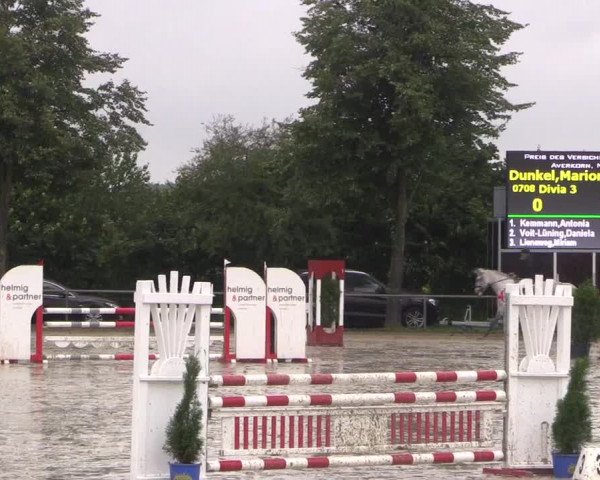 Reitturnier Appelhülsen 2017