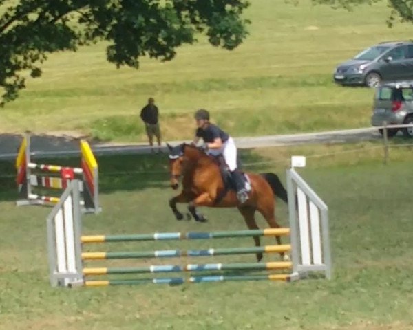 jumper Chako 5 (Bavarian, 2002, from Corallo)