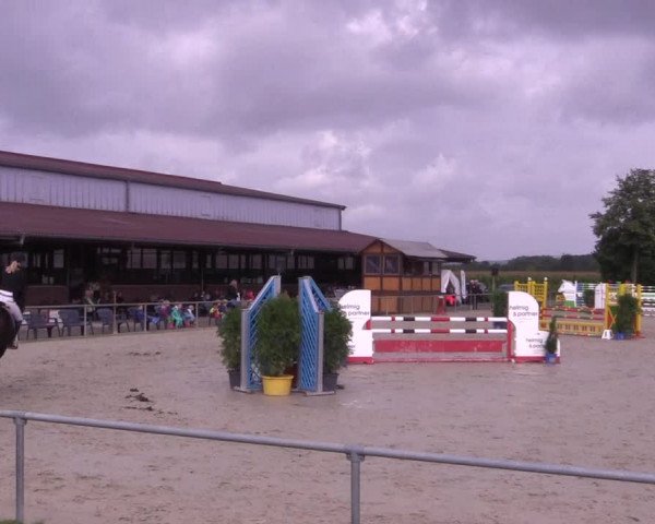 Reitturnier Appelhülsen 2017