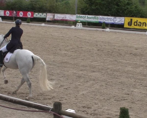 Reitturnier Hünsdorf-Ecurie Josy Hoffmann 2017