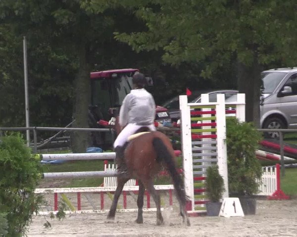 Reitturnier Appelhülsen 2017