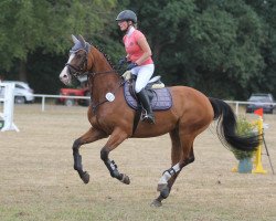 broodmare Louisiana LS (Oldenburg show jumper, 2012, from Lordanos)