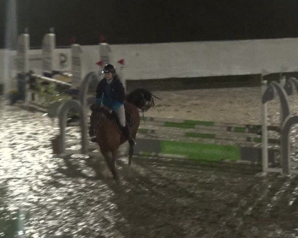 Reitturnier Leichlingen-Witzhelden 2017