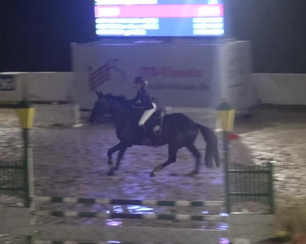Reitturnier Leichlingen-Witzhelden 2017