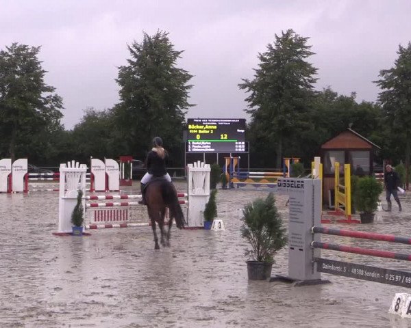 Reitturnier Appelhülsen 2017