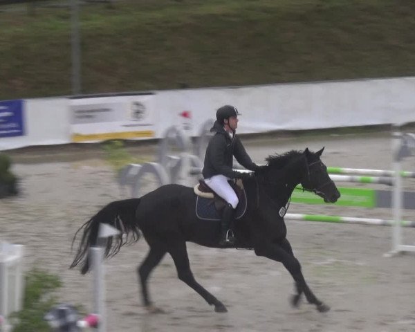 Reitturnier Leichlingen-Witzhelden 2017