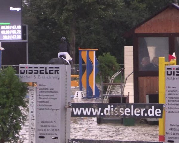 Reitturnier Appelhülsen 2017