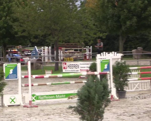 Reitturnier Appelhülsen 2017