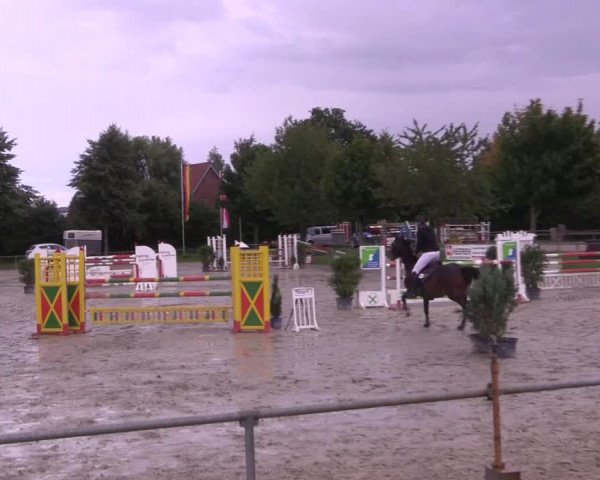 Reitturnier Appelhülsen 2017