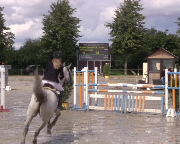 Reitturnier Appelhülsen 2017
