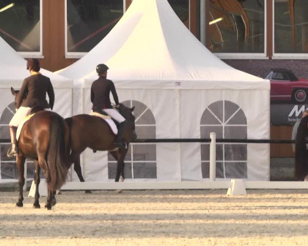 Reitturnier Illertissen 2017
