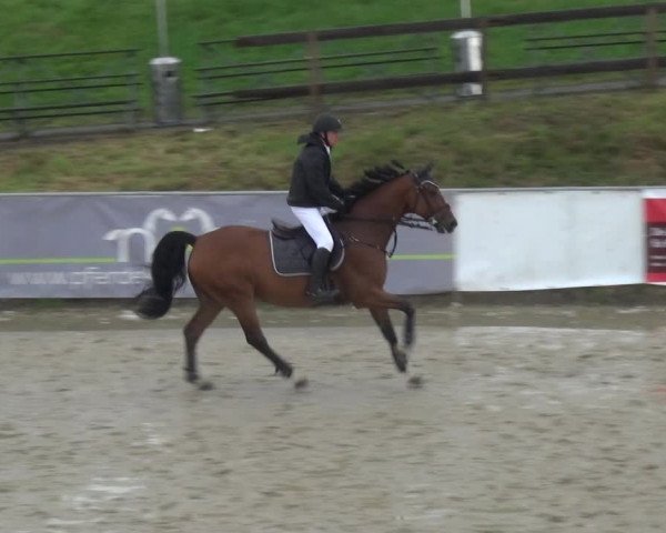 Reitturnier Leichlingen-Witzhelden 2017