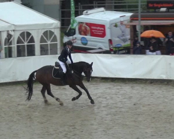 Reitturnier Leichlingen-Witzhelden 2017