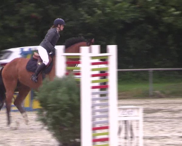 Reitturnier Appelhülsen 2017