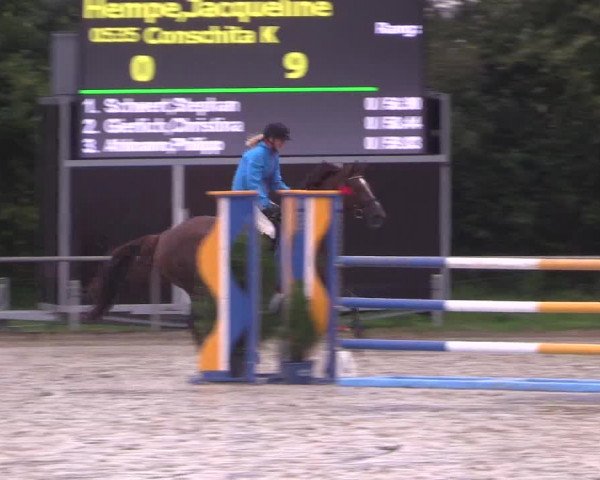 Reitturnier Appelhülsen 2017