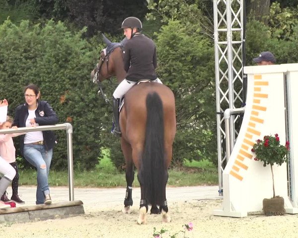 Reitturnier Durmersheim-Hardt 2017